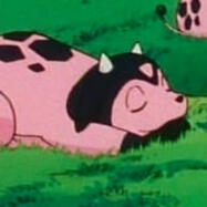 Miltank